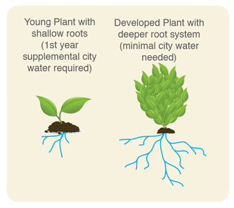 Grey Water Recycling